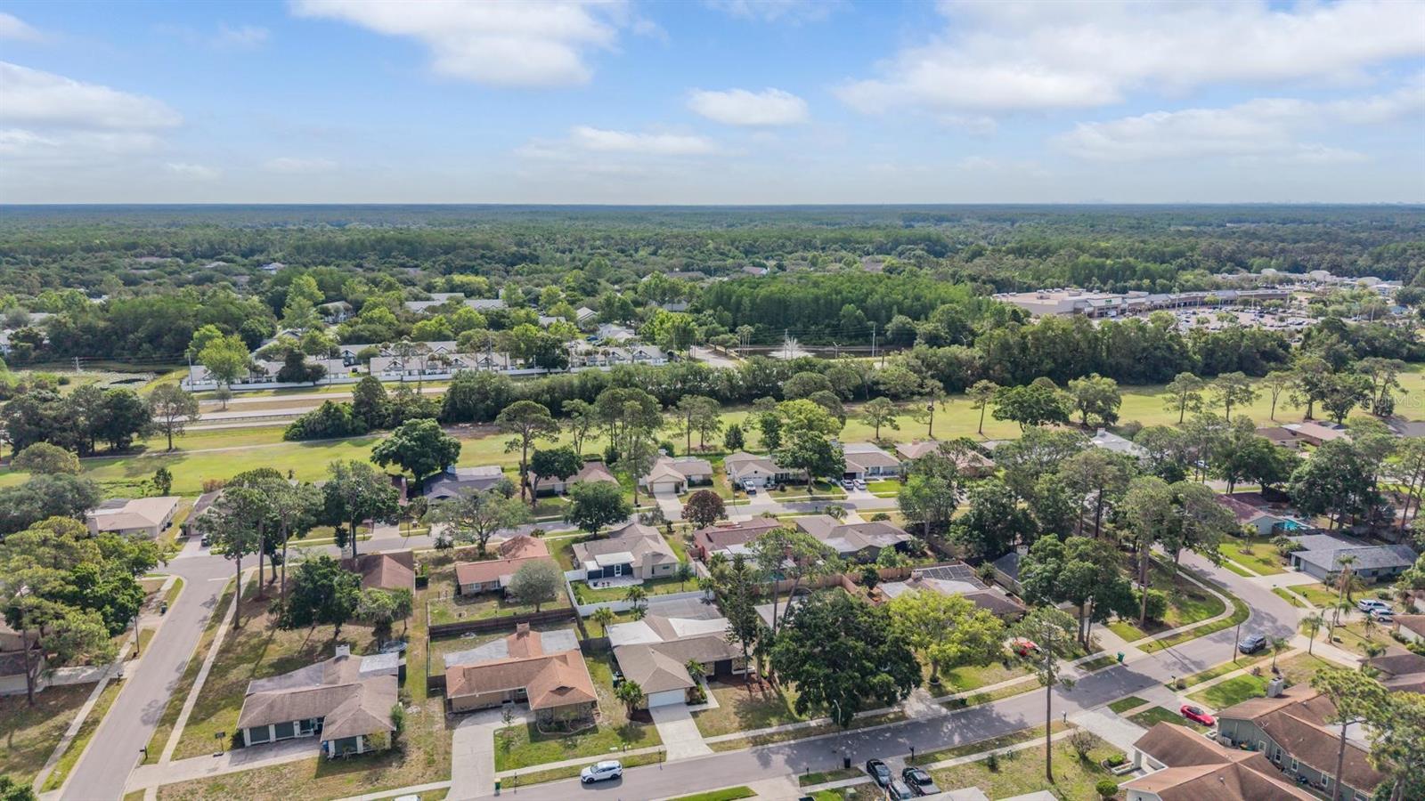 FAIRWAY FOREST - Residential