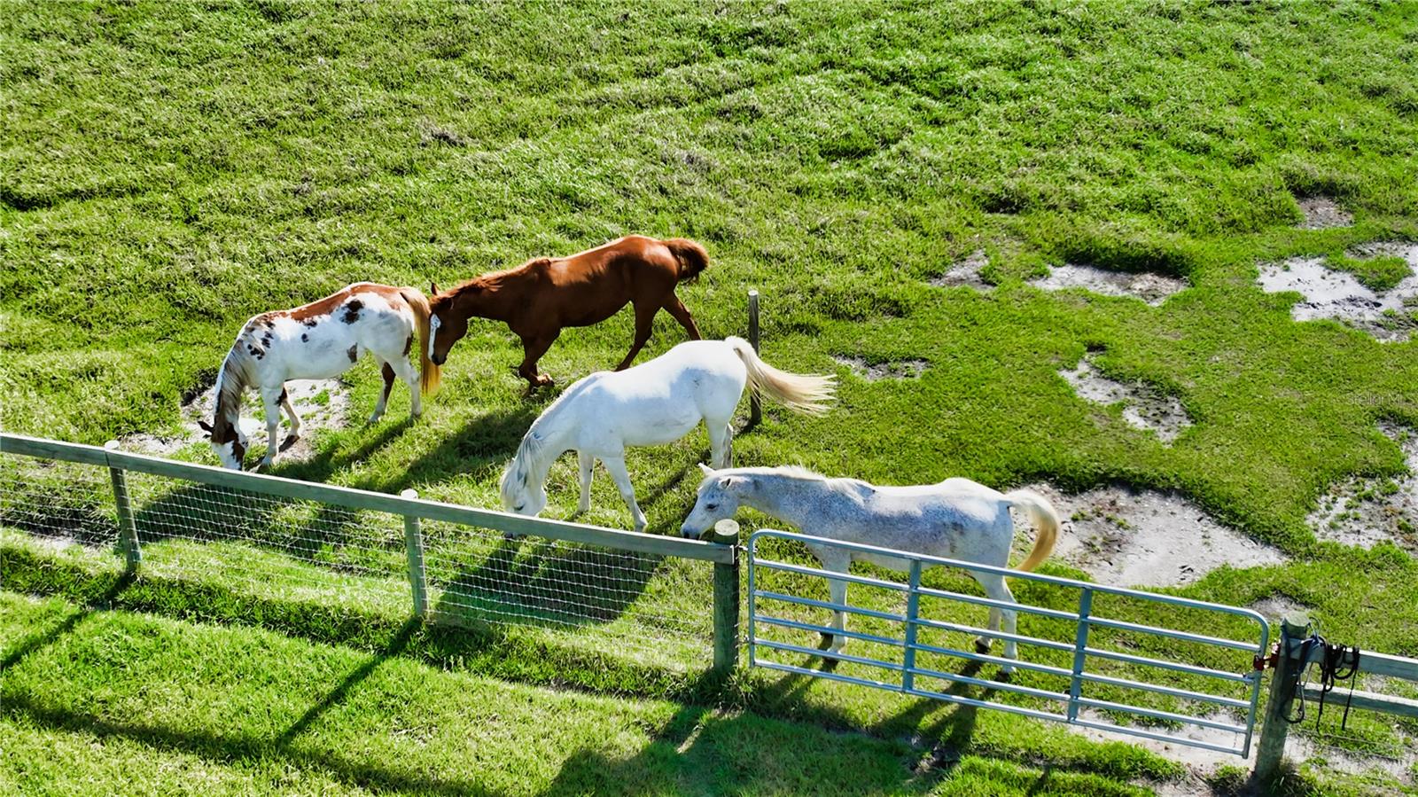 WATERBURY TRACTS CONTINUED - Residential