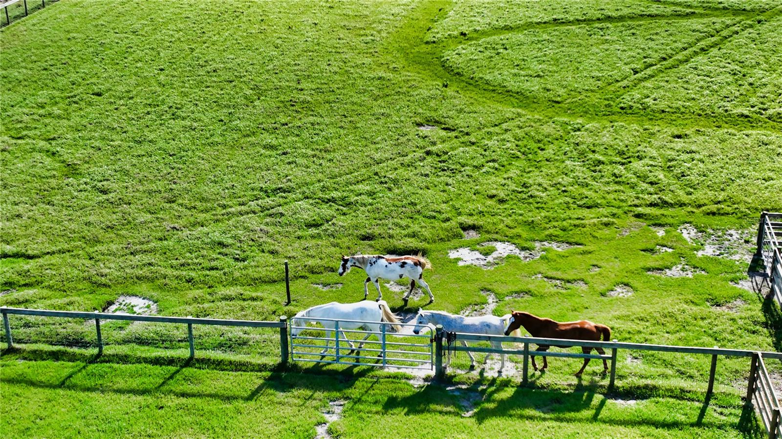 WATERBURY TRACTS CONTINUED - Residential