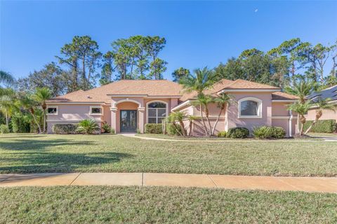 A home in ORMOND BEACH