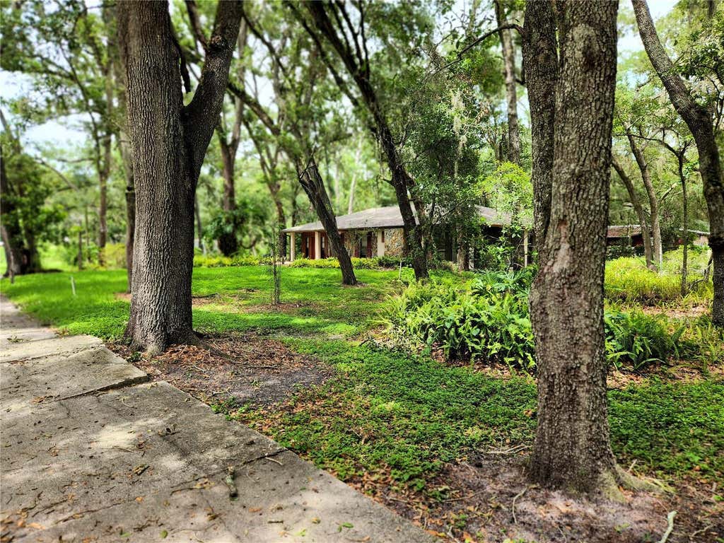Photo of 11318 Brightwood Drive, Seffner, FL 33584 (MLS # TB8521330)