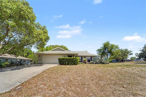Photo of 7006 Maplehurst Drive, Port Richey, FL 34668 (MLS # O6419190)