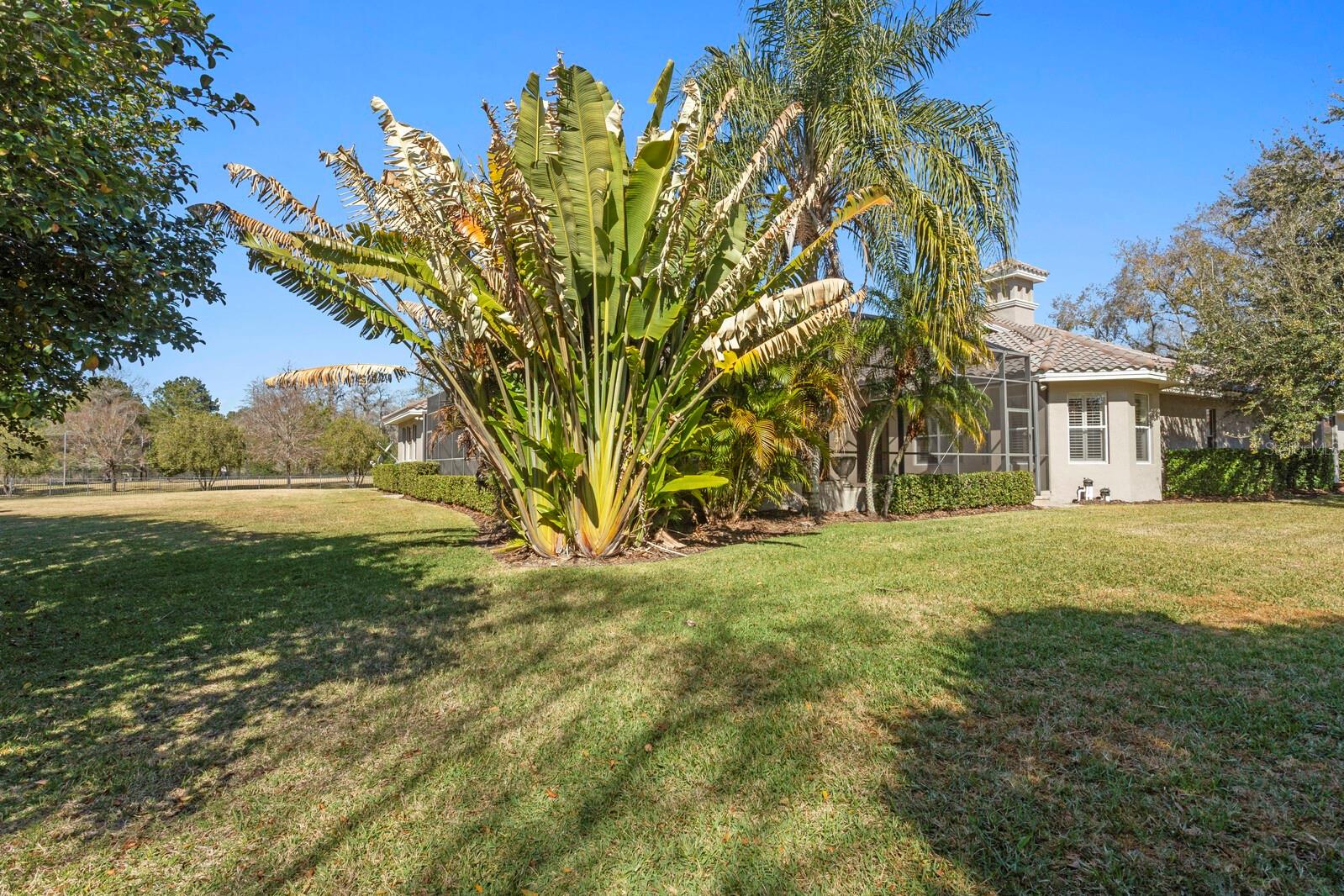 NORTHBRIDGE AT LAKE PRETTY - Residential