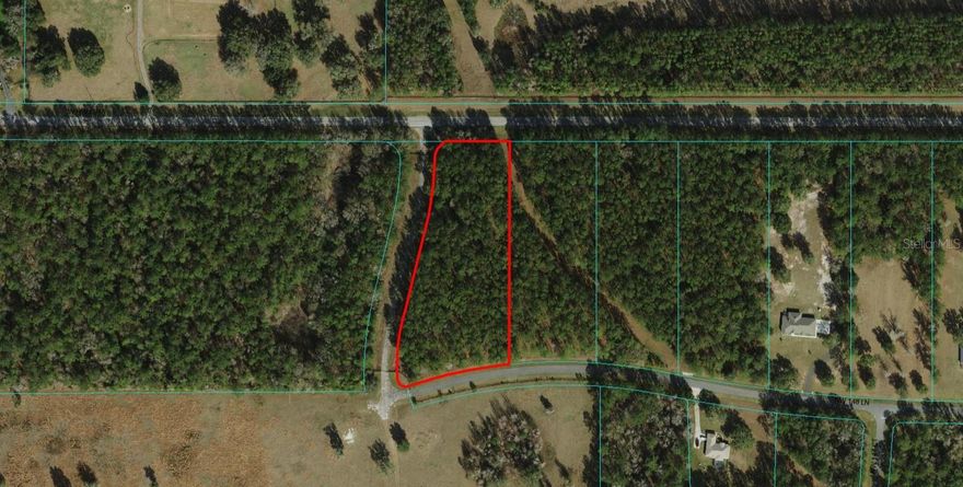 Are you looking for a gated Equestrian Community to build your new home that is just minutes from HITS and WEC? This 3.54 acre treed homesite is convenient to Gainesville, Ocala and Williston offering plenty of room to build a beautiful home, a barn and small paddocks. The Villages of Hidden Lakes is in Williston, in the Marion County side and offers a sanctuary of mini farms where you can enjoy bridle trails, bicycling, and more on paved roads as well as an abundance of wildlife to observe; deer, turkey and more. This deed restricted community is a short drive to Walgreens, Publix, Restaurants and more