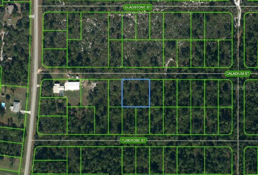 Photo of 1411 Caladium Street, Lake Placid, FL 33852 (MLS # OM624816)