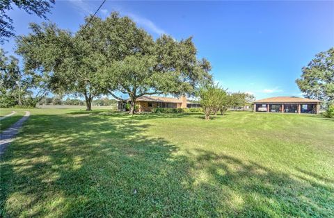 A home in PLANT CITY