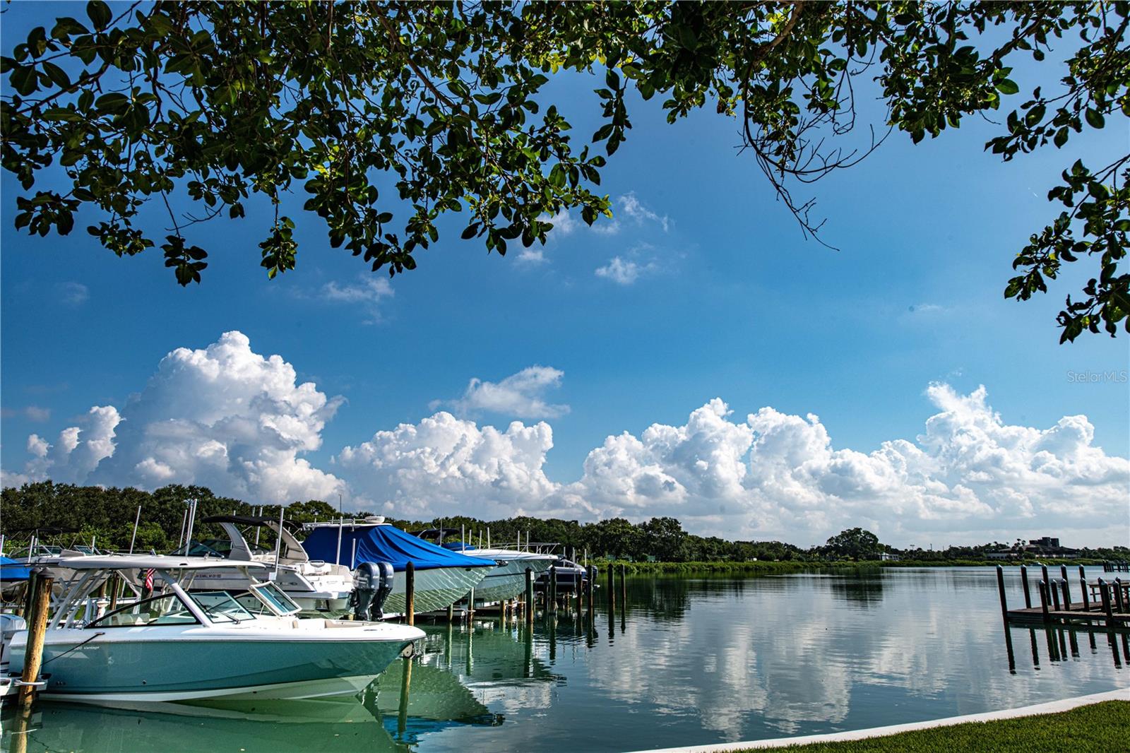 SANDS POINT - Residential