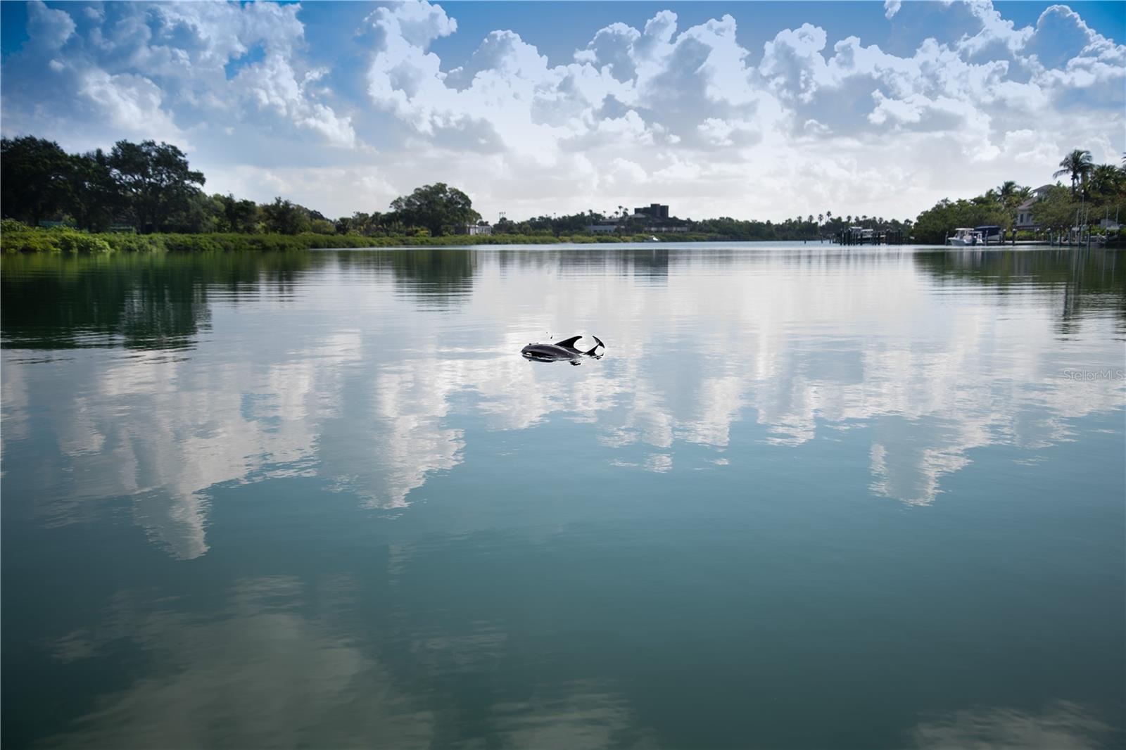 SANDS POINT - Residential