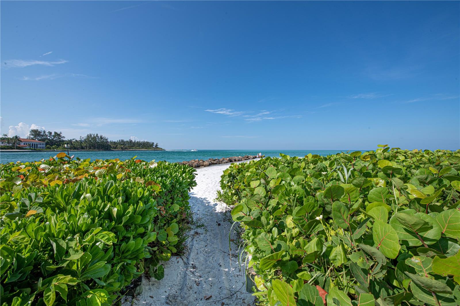 SANDS POINT - Residential