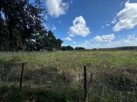 Tiny photo for 0 Cr 755, Webster, FL 33597 (MLS # W7869276)
