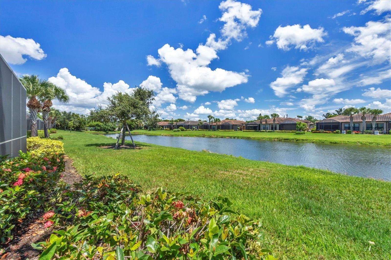 ESPLANADE BY SIESTA KEY - Residential