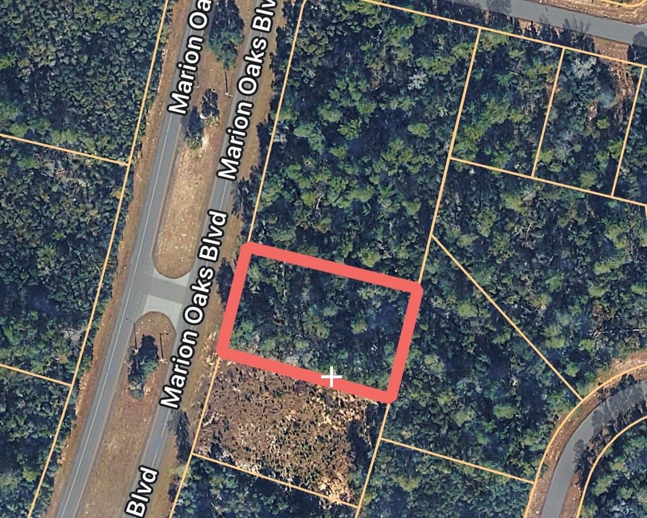 MARION OAKS UN 04 - Land