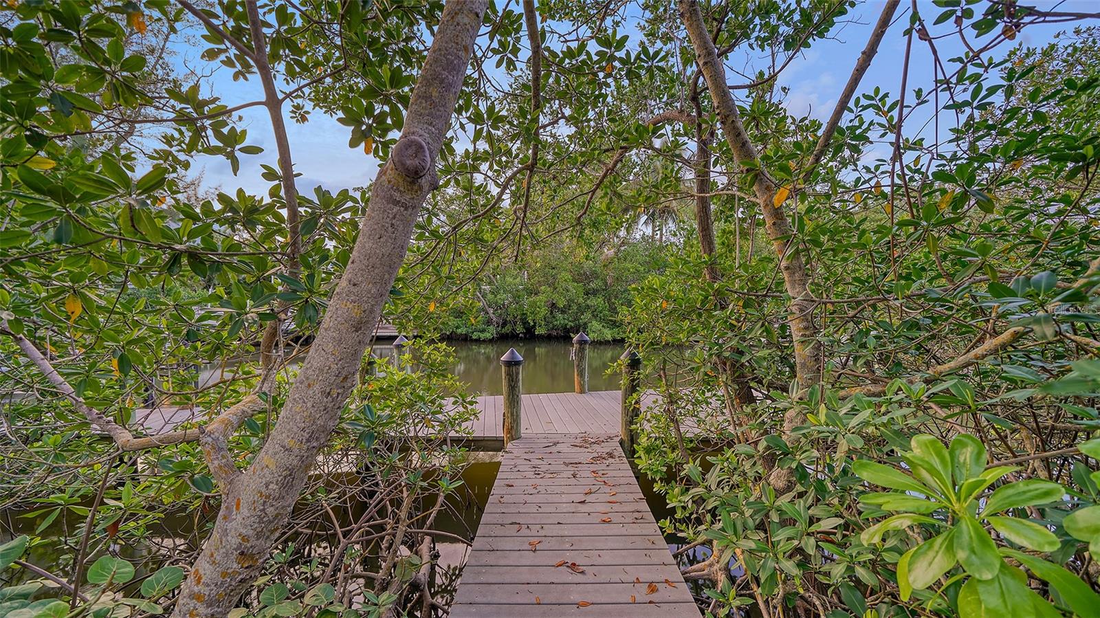 VACATED GULF AVE - Residential