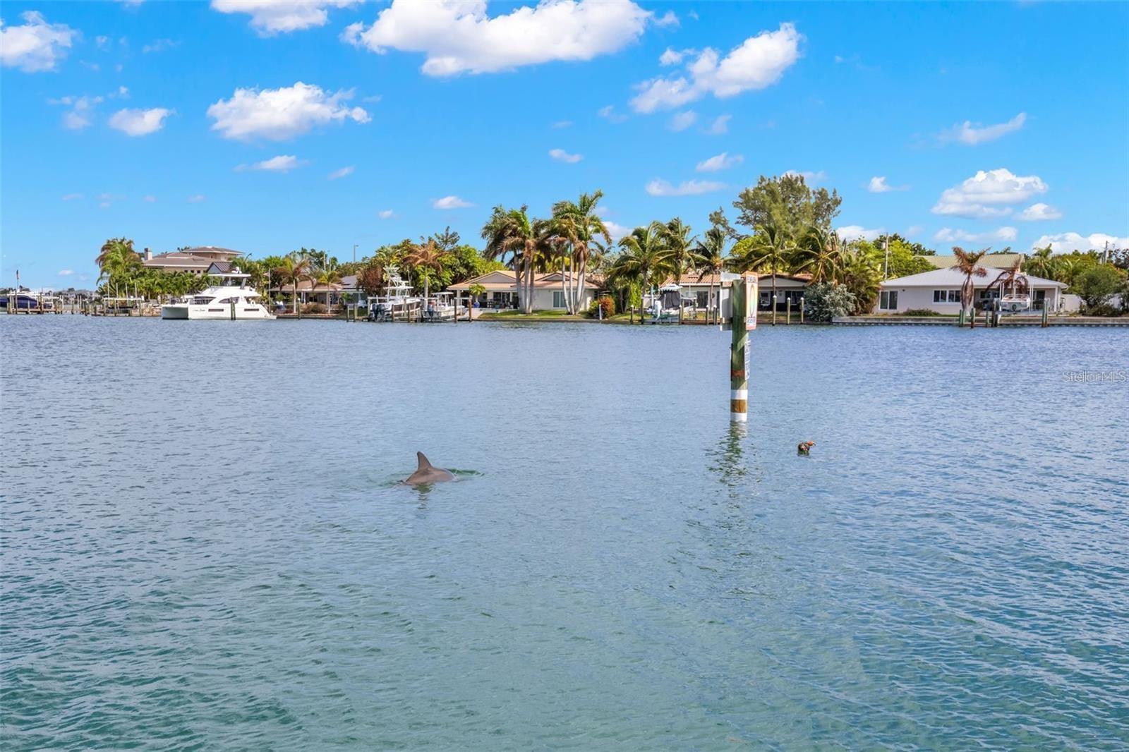 BLIND PASS LAGOONS CONDO - Residential