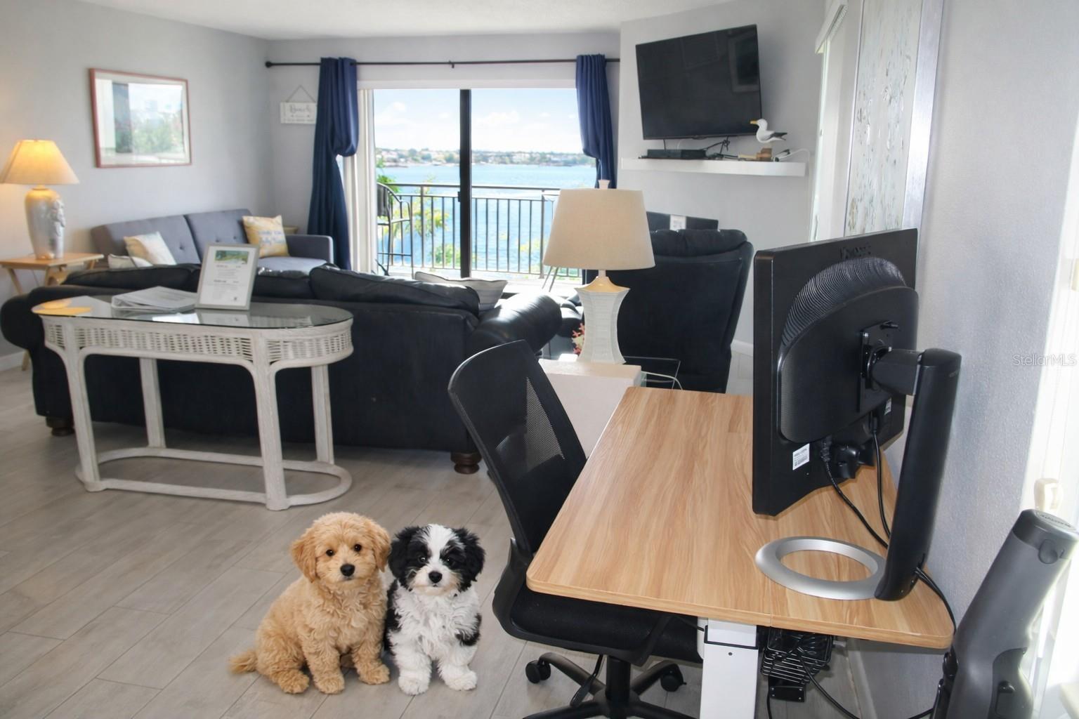 BLIND PASS LAGOONS CONDO - Residential