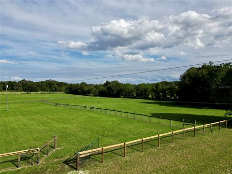 Tiny photo for Tbd SE 150th St, Summerfield, FL 34491 (MLS # OM705686)