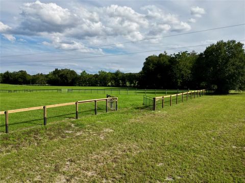 Tiny photo for Tbd SE 150th St, Summerfield, FL 34491 (MLS # OM705686)