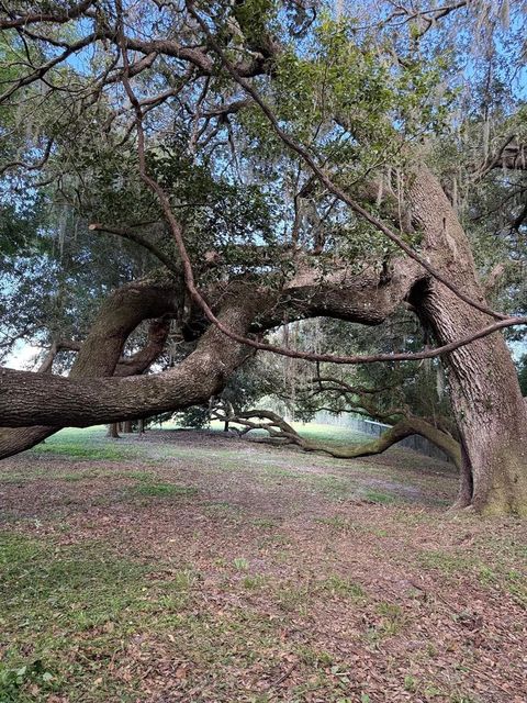 Tiny photo for Tbd SE 150th St, Summerfield, FL 34491 (MLS # OM705686)