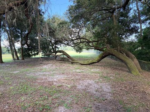 Tiny photo for Tbd SE 150th St, Summerfield, FL 34491 (MLS # OM705686)