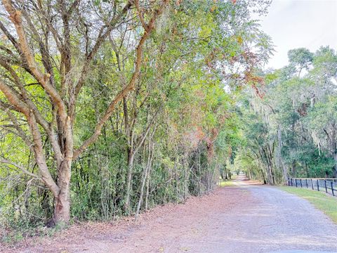 Tiny photo for Tbd SE 150th St, Summerfield, FL 34491 (MLS # OM705686)