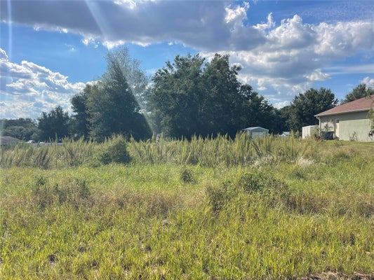 25439 NIXON ST, ASTATULA, FL 34705 - Image 8ed6ab4f1add8990543616d202f00a36/2968961111