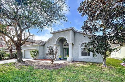 A home in LAND O LAKES