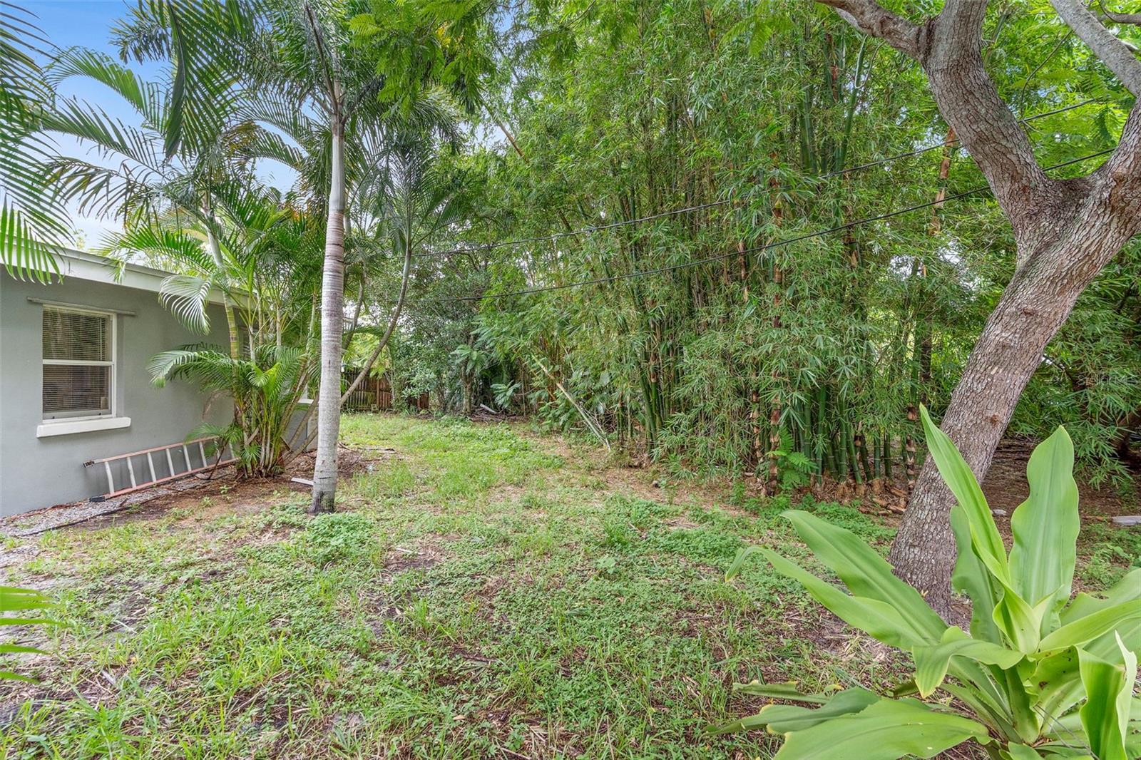 PALMETTO PARK - Residential