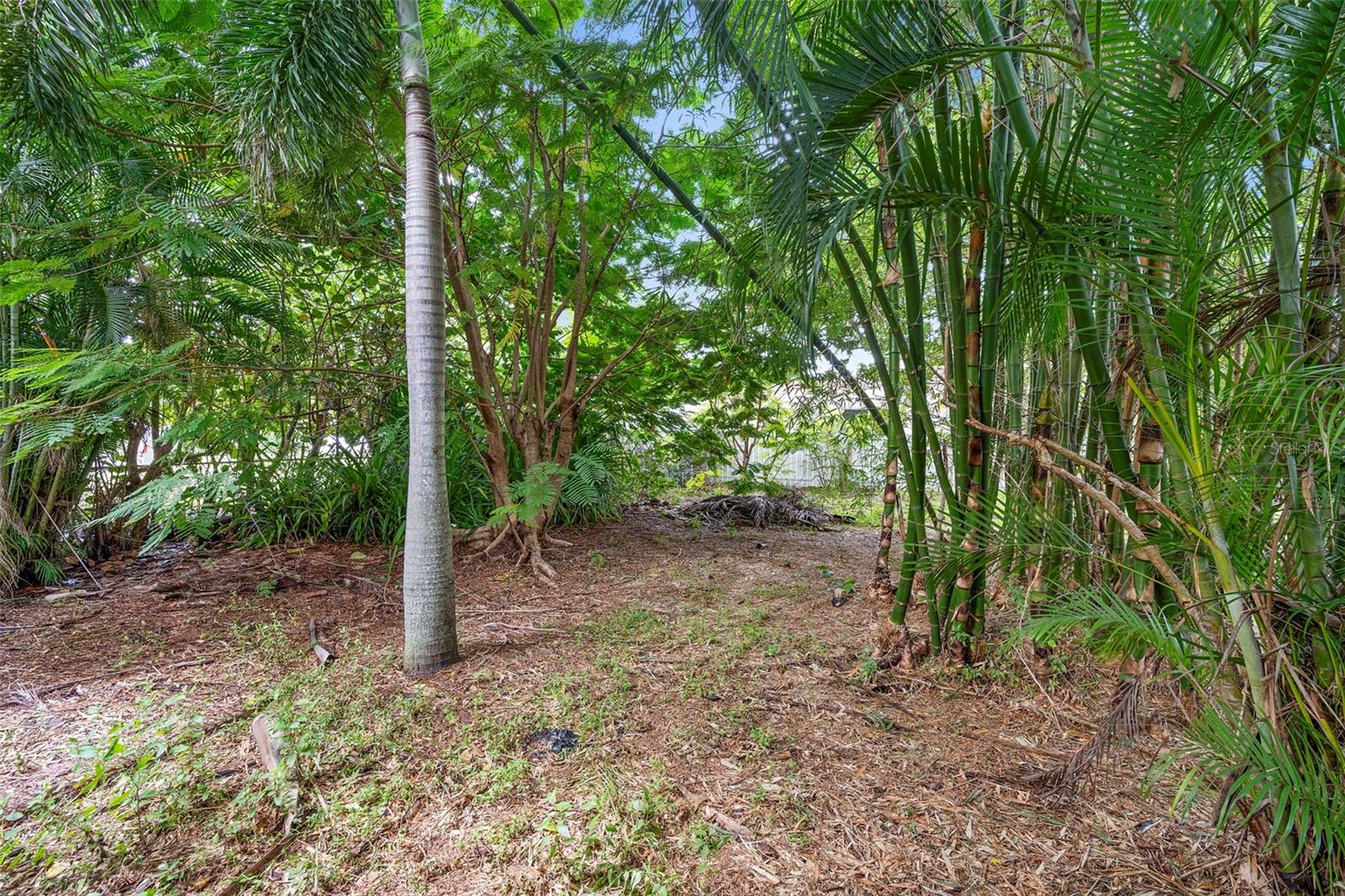 PALMETTO PARK - Residential