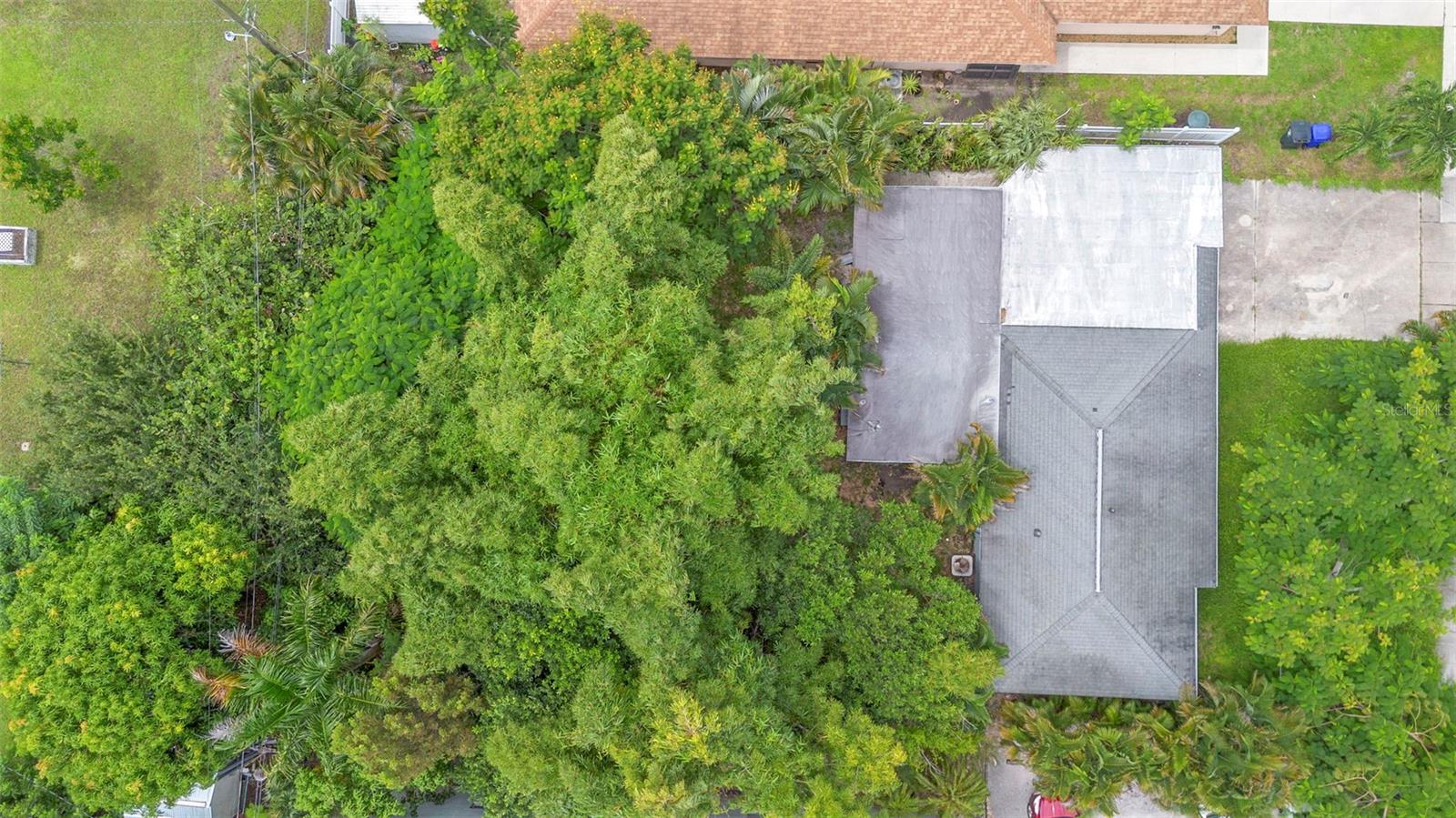 PALMETTO PARK - Residential