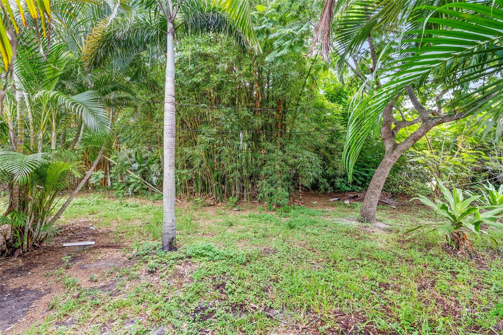 PALMETTO PARK - Residential