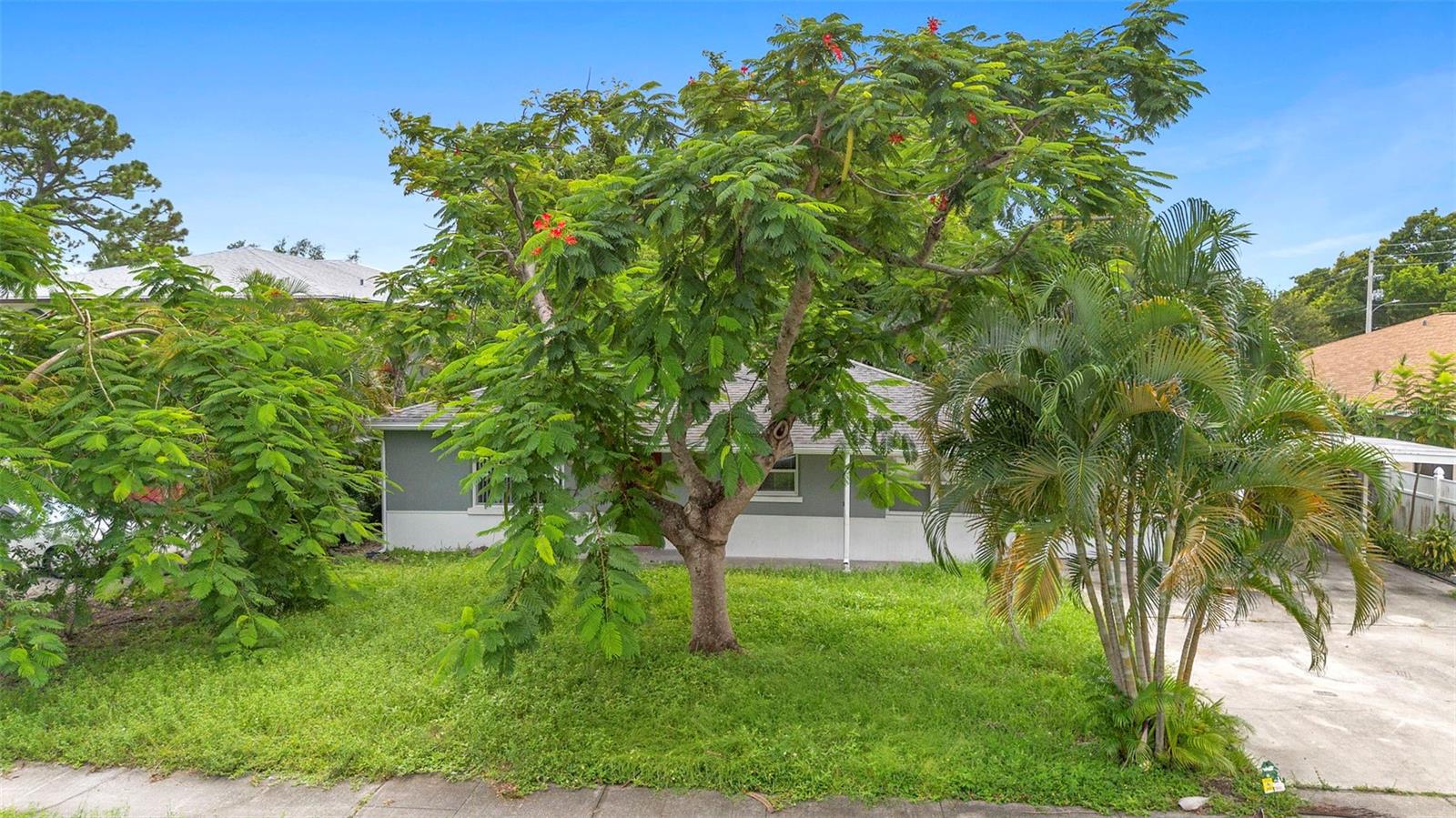 PALMETTO PARK - Residential