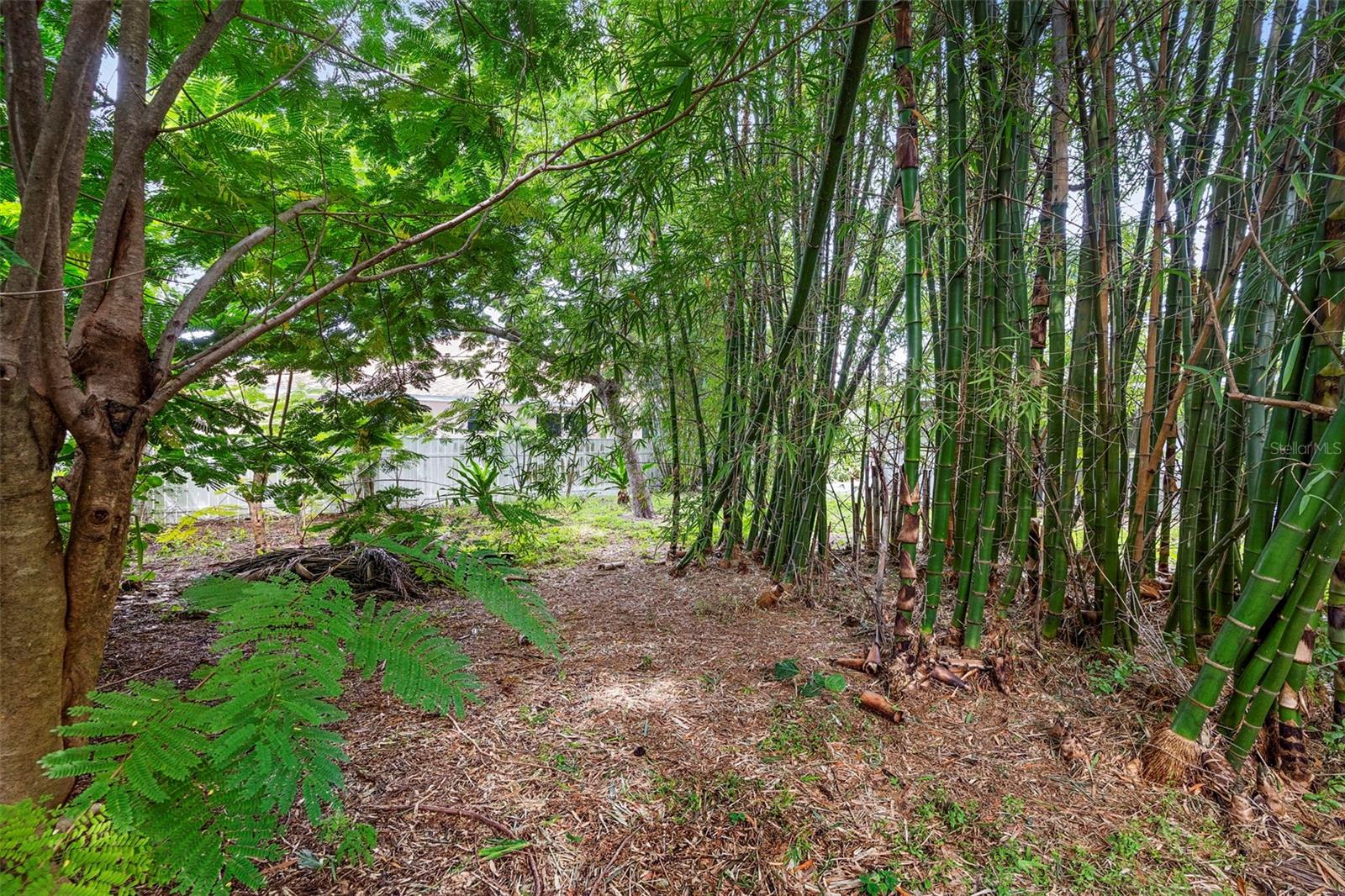 PALMETTO PARK - Residential