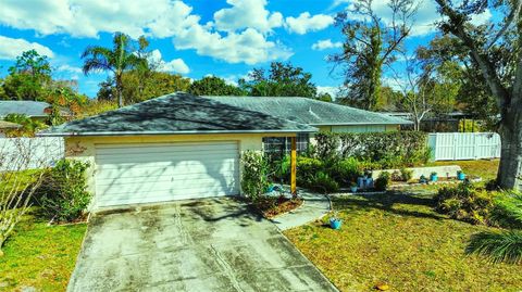 5205 RIPPLE CREEK DRIVE TAMPA FL 33625