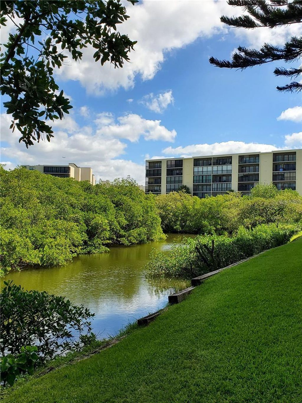 Photo of 900 Cove Cay Drive #1D, Clearwater, FL 33760 (MLS # TB8467291)