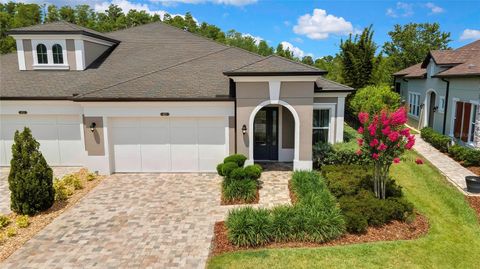 4155 BARLETTA COURT WESLEY CHAPEL FL 33543