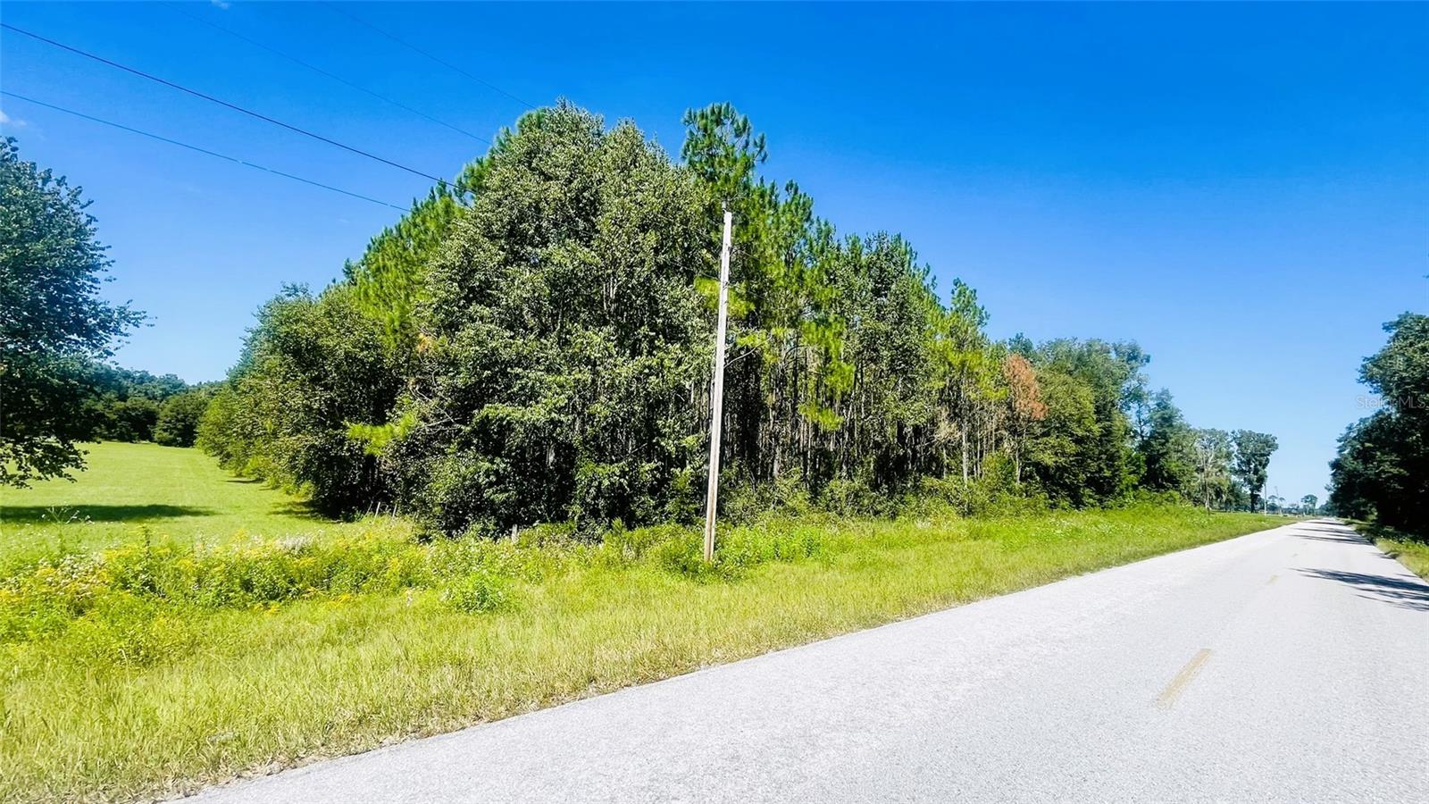 20 Acres of Planted Pines – Prime Location Between Chiefland & Trenton!!
Discover the perfect blend of privacy and convenience with this 20-acre parcel of planted pines located on a paved county road between Chiefland and Trenton. Whether you’re planning to build your dream site-built home or place a manufactured home, this property offers endless possibilities. Enjoy being just minutes from Manatee Springs, Fanning Springs, the Suwannee River, shopping, and local restaurants. With no HOA and lower Levy County taxes, you’ll have the freedom to make the land your own. There’s plenty of space to plant a garden, raise animals, or simply enjoy the peaceful surroundings. Bring your vision and create the lifestyle you’ve been dreaming of!