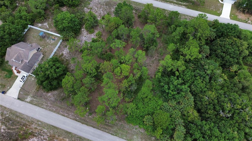 Photo of 755 Chambers Street E, Lehigh Acres, FL 33974 (MLS # O6307911)