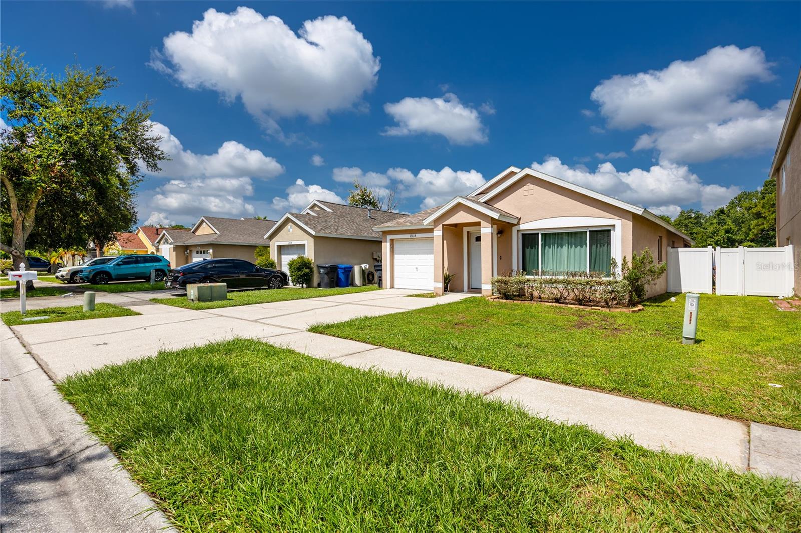 13133 CARROLLWOOD CREEK DRIVE