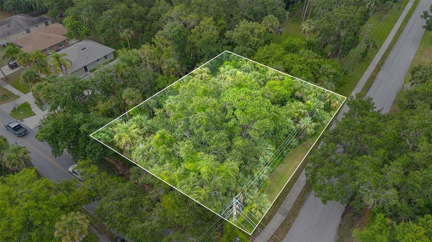 Prime opportunity in the sought-after Inwood subdivision of New Smyrna Beach. This exceptional double-wide corner lot offers a rare chance to invest in a prime location. Nestled in a tranquil neighborhood and in the Neighborhood Business District, this property boasts unparalleled convenience. Enjoy easy access to local amenities, including being just three blocks from the New Smyrna Golf Club. Explore a variety of local shops, bars, and restaurants, all within walking distance. The property is currently zoned B2, allowing for a variety of neighborhood business uses such as florists, laundries, and real estate offices. Enjoy the best of coastal living with this property's proximity to New Smyrna Beach and the Atlantic coastline, located less than 3 miles away. Easy commutes to Orlando, Jacksonville, and Cape Canaveral. Whether you're seeking an investment property, a serene retreat, or a vibrant community to call home, this lot offers the perfect canvas. Enjoy the benefits of no HOA and benefit from low taxes!