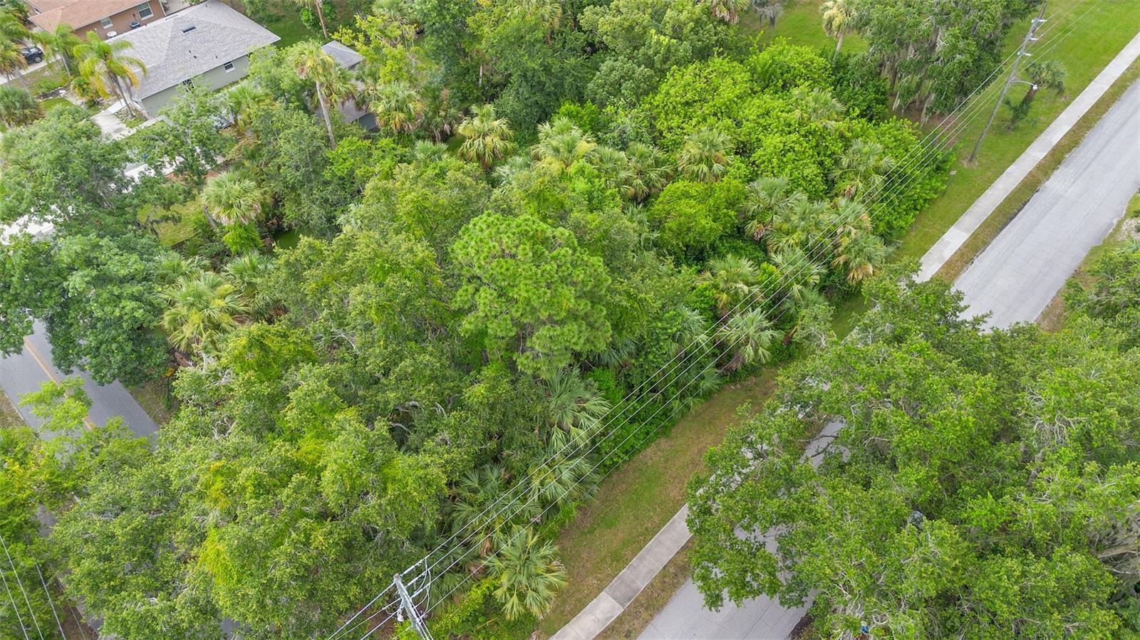 INWOOD NEW SMYRNA - Land