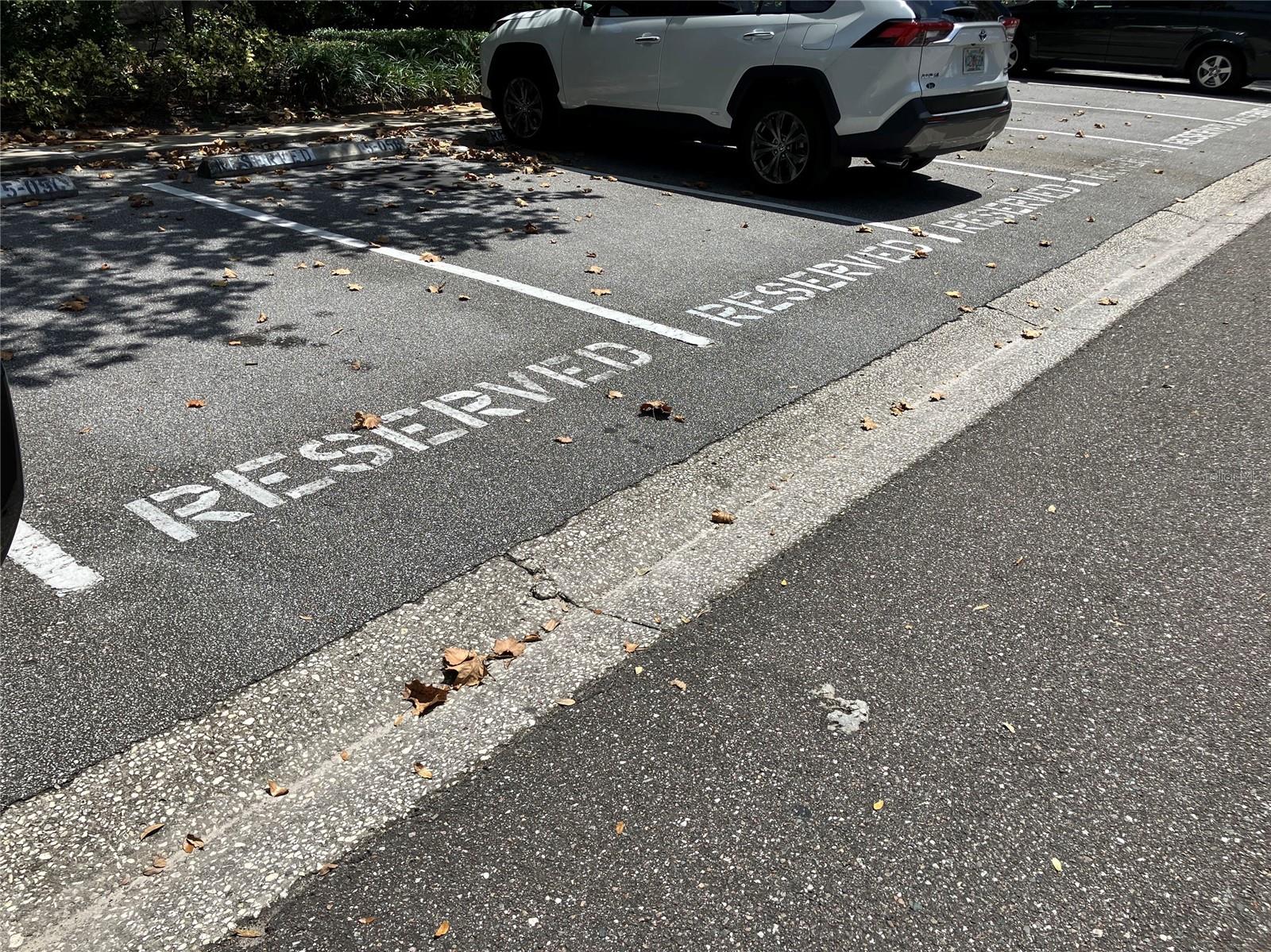 RAINTREE VILLAGE CONDO N - Residential Lease