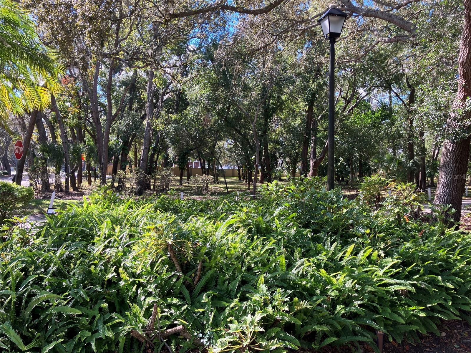 RAINTREE VILLAGE CONDO N - Residential Lease