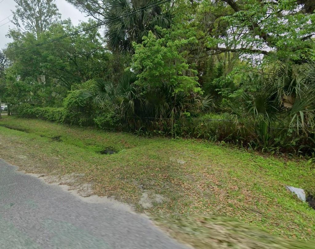 Photo of 25232 Bartholomew Street, Christmas, FL 32709 (MLS # O6417770)