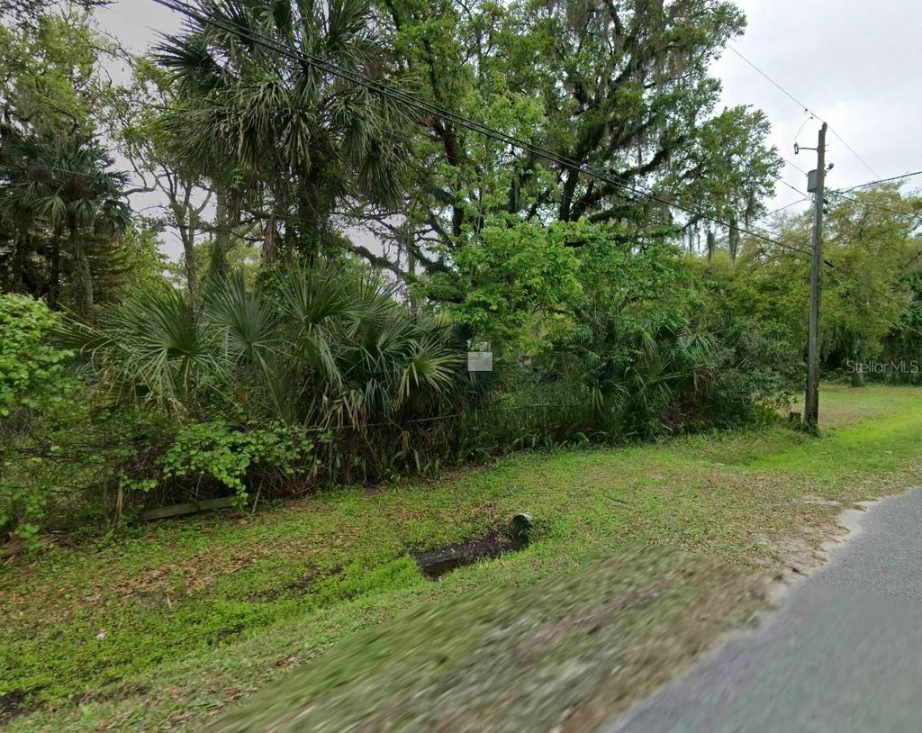 Photo of 25232 Bartholomew Street, Christmas, FL 32709 (MLS # O6417770)