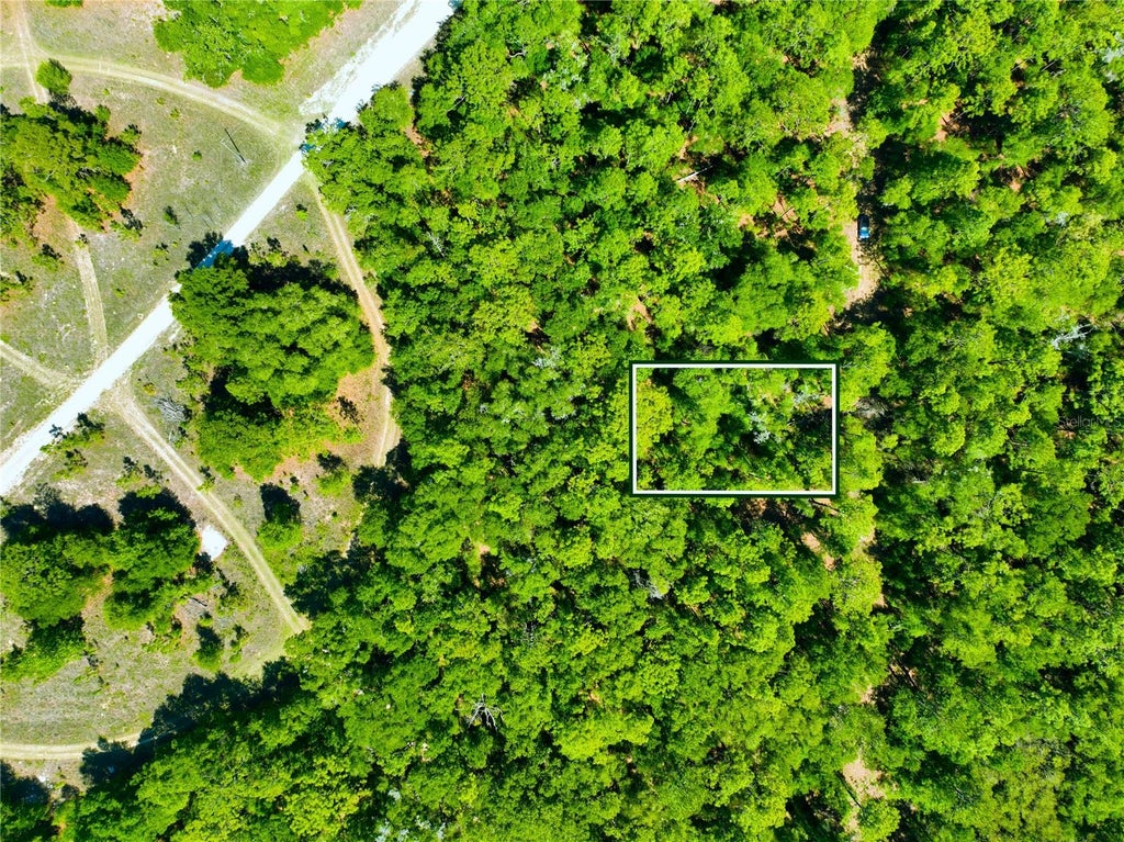 Photo of 9 SW 24th Place, Ocala, FL 34481 (MLS # A4705602)