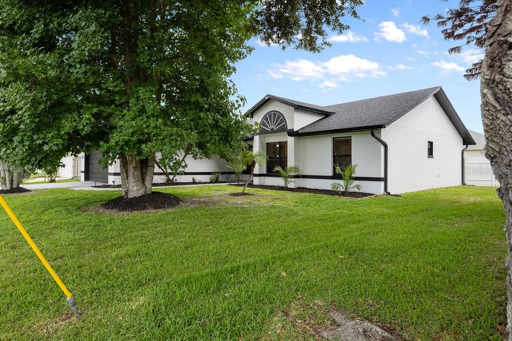 54 DORSET DRIVE