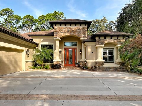 Photo of 14 Bluejack Court, Palm Coast, FL 32137 (MLS # O6391303)