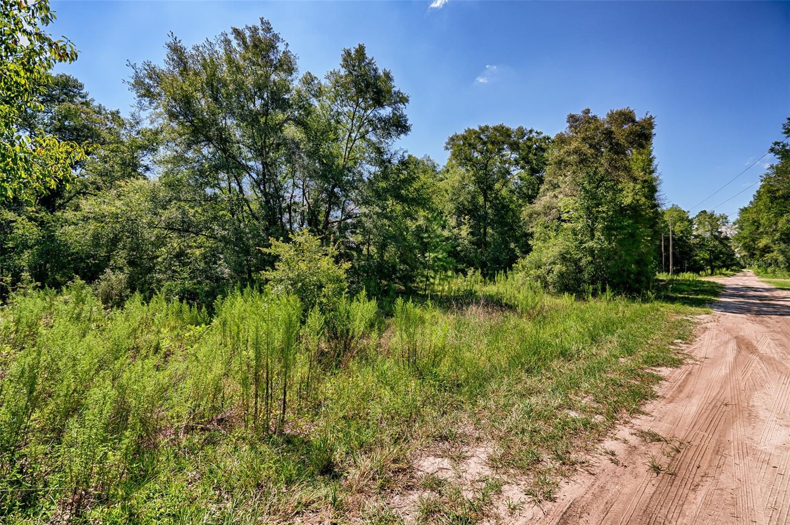 UNIVERSITY ESTATES - Land