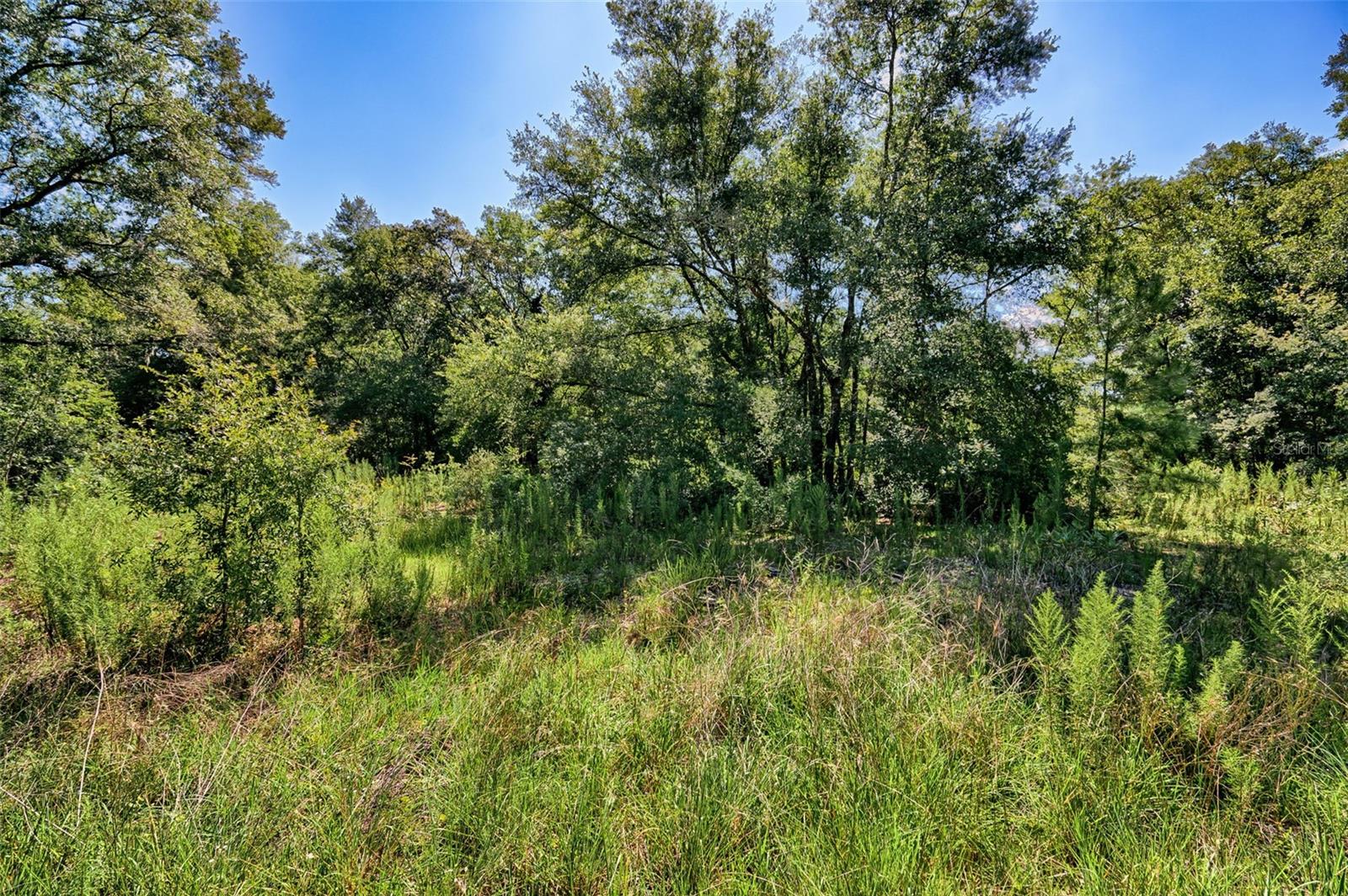 UNIVERSITY ESTATES - Land