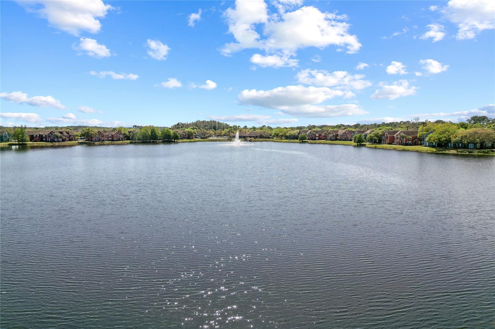 LAKE CHASE CONDO - Residential